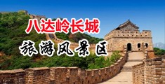 精品毛片长阴茎插逼中国北京-八达岭长城旅游风景区